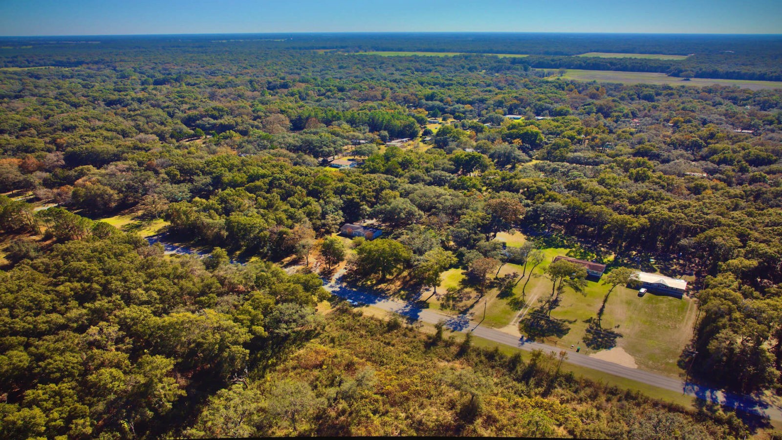 Land For Sale In Florida,  Acres In Levy County, FL - LandSelz ~ #1  Source for Discounted Lands for Sale!